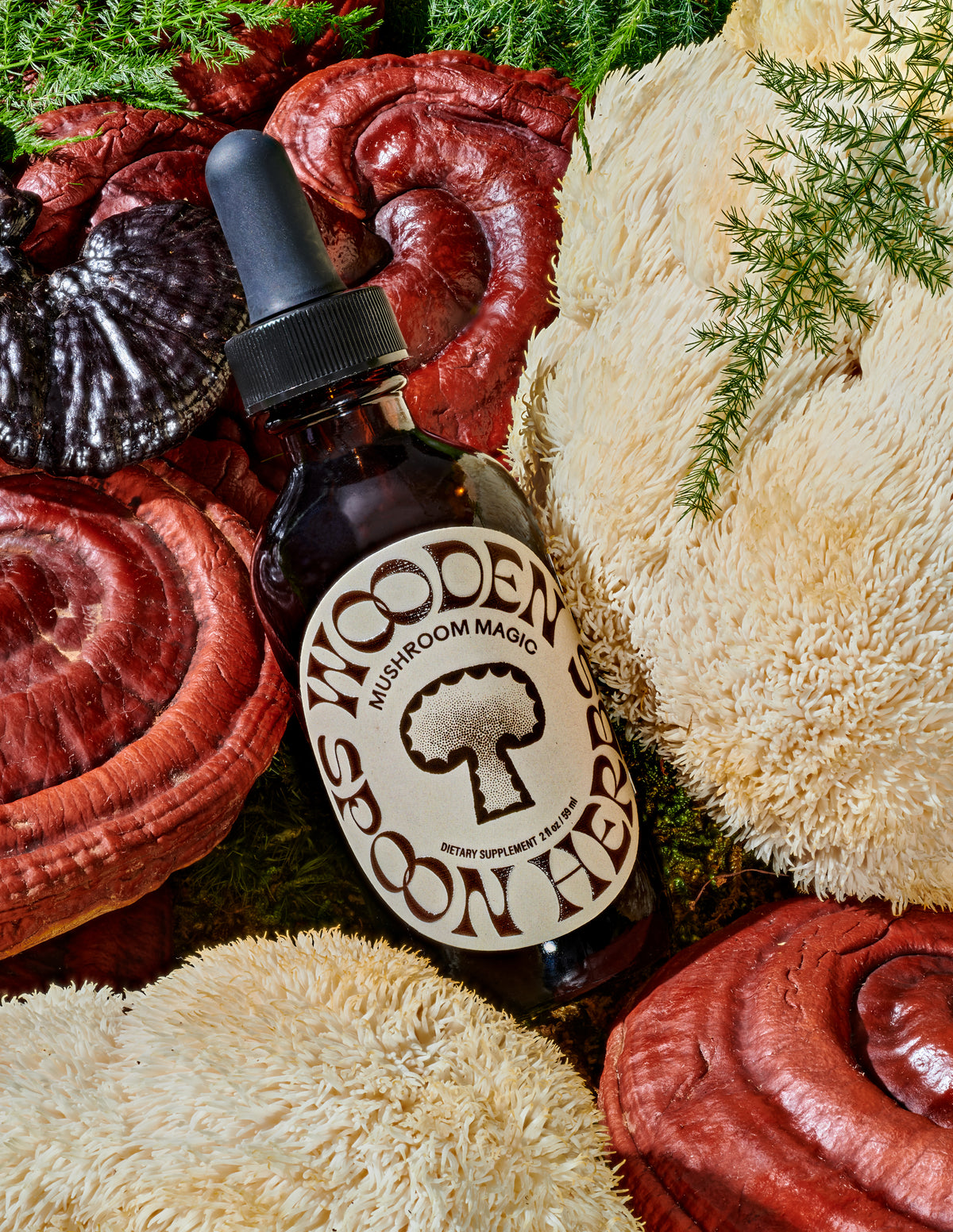 Iced Cocoa featuring Mushroom Magic