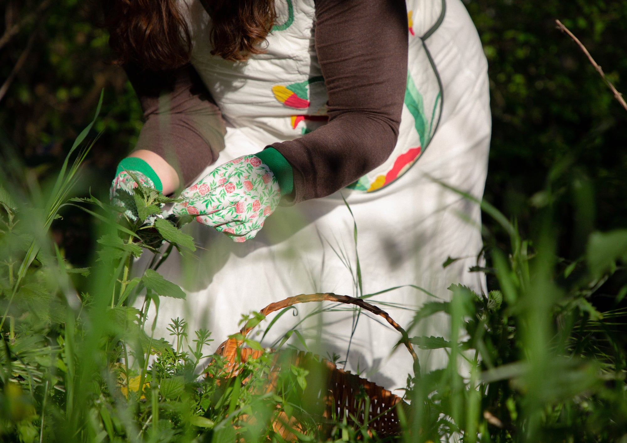 Spring Favorites collection featuring Wooden Spoon Herbs tonics and adaptogenic blends for mood and immunity
